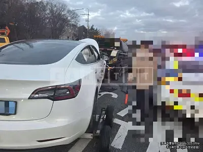 Photo 1 of 9: 2020 Tesla Model 3 Standard Range Plus RWD — Korean insurance auction
