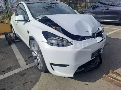 Photo 1 of 16: 2024 Tesla Model Y RWD — Korean insurance auction