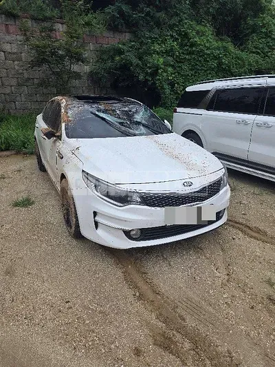 Photo 1 of 14: 2015 Kia K5 2.0(LPI) — Korean insurance auction