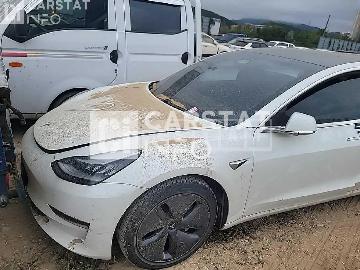 Photo 2 of 11: 2020 Tesla Captestla Model 3 Standard Range Plus — Korean insurance auction