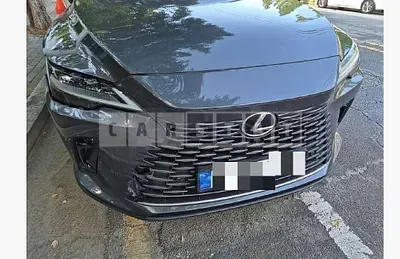 2024 Lexus RX450h+