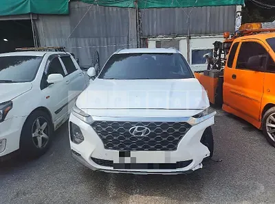 Photo 1 of 26: 2019 Hyundai Santa Fe TM, VIN KMHS281BBLU220429 — Korean insurance auction