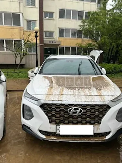 Photo 1 of 4: 2020 Hyundai Santa Fe, VIN KMHS281ABLU240212 — Korean insurance auction