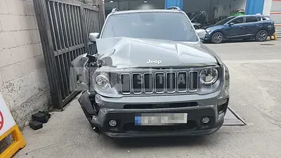 2022 Zip Renegade 1.3
