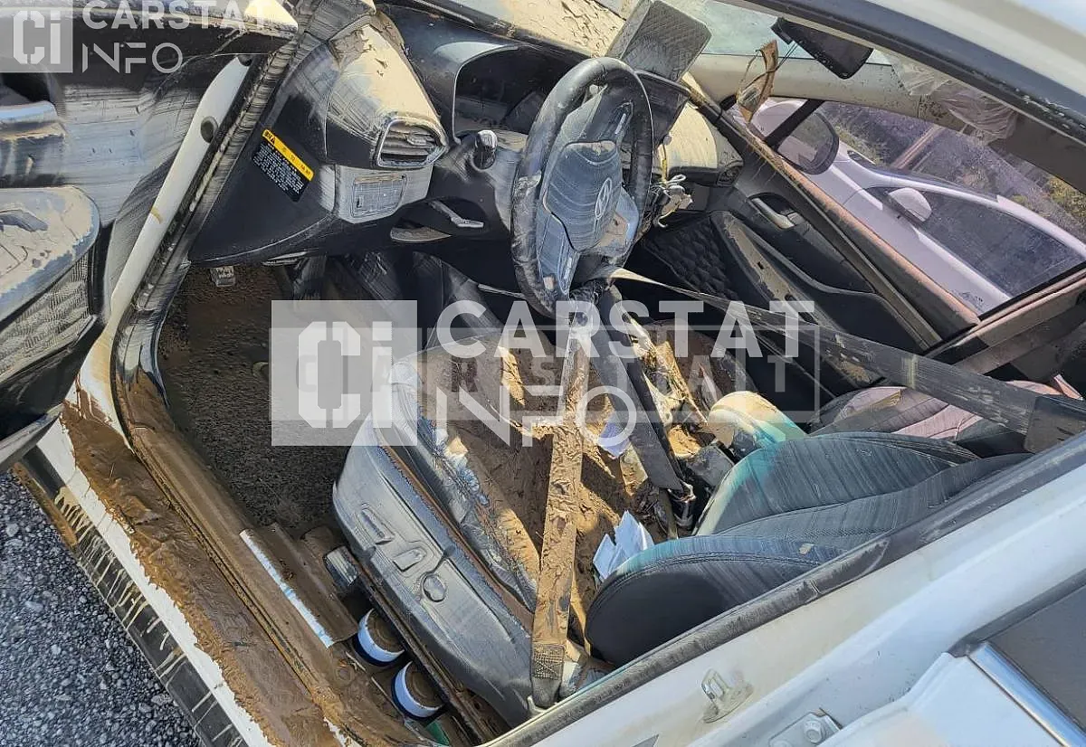 Photo 2 of 2: 2019 Hyundai Calm Santa Fe 2.0 — Korean insurance auction