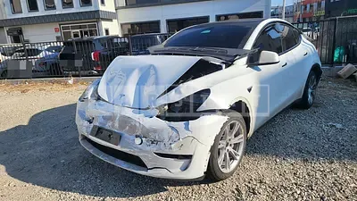 Photo 1 of 8: 2024 Tesla Model Y RWD — Korean insurance auction