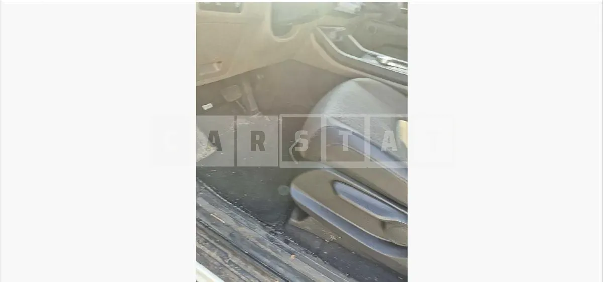 Photo 2 of 77: 2024 Kia Carnivals — Korean insurance auction