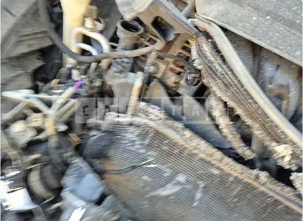 Photo 2 of 17: 2019 Kia K5 — Korean insurance auction