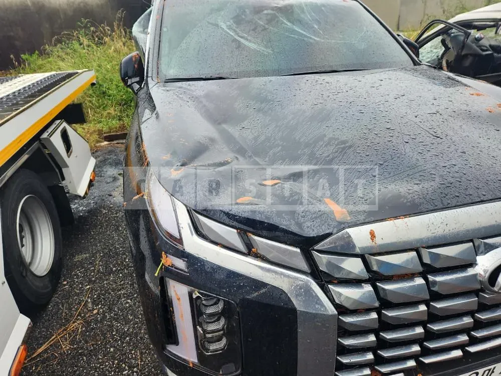 Photo 2 of 17: 2022 Hyundai Palisade, VIN KMHR581ADPU502805 — Korean insurance auction