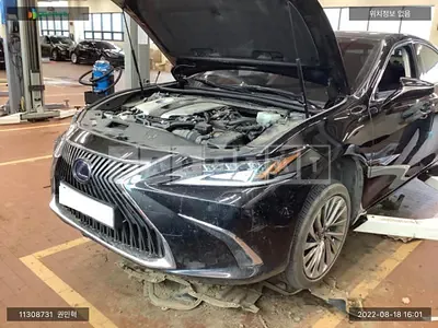 2020 lexus /lexus es 300h