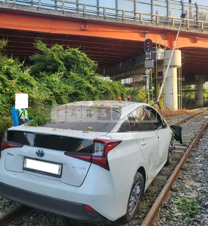 Photo 2 of 35: 2019 Toyota Prius, VIN JTDKARFU4K3088587 — Korean insurance auction