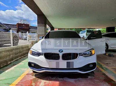 Photo 1 of 10: 2019 BMW 420d xDrive Gran Coupe, VIN WBA4K5102KBP30441 — Korean insurance auction