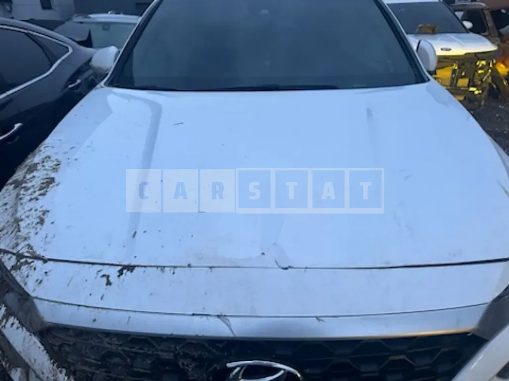 Photo 2 of 27: 2019 Hyundai Santa Fe — Korean insurance auction