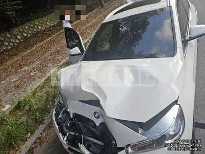 Photo 1 of 15: 2018 BMW Active Tourer — Korean insurance auction