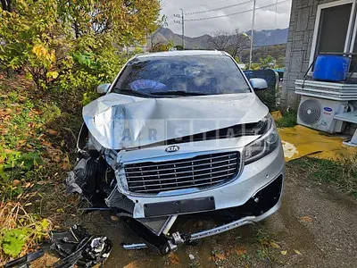 Photo 1 of 12: 2015 Kia Carnivals — Korean insurance auction