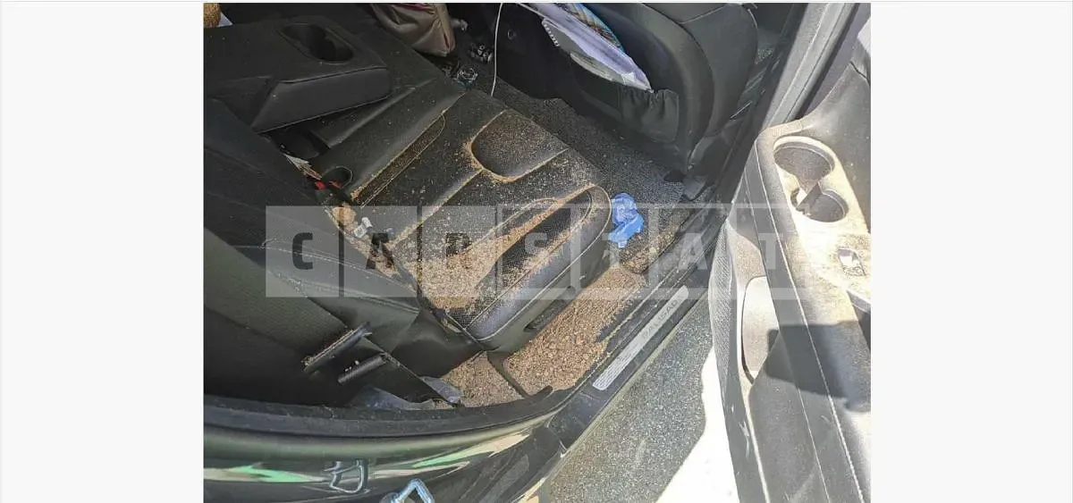 Photo 2 of 19: 2024 Hyundai Palisade 2.2 (Diesel, 4WD) — Korean insurance auction