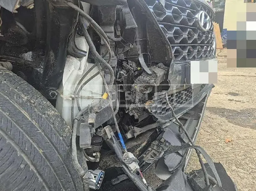 Photo 2 of 19: 2019 Hyundai Santa Fe TM Diesel 2.2 4WD — Korean insurance auction