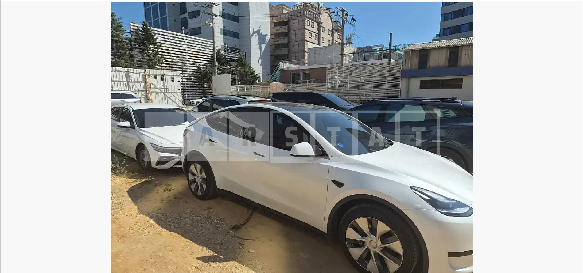 Photo 2 of 27: 2023 Tesla Model Y RWD — Korean insurance auction