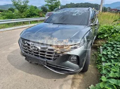 Photo 1 of 8: 2023 Hyundai Tucson NX4 Gasoline — Korean insurance auction