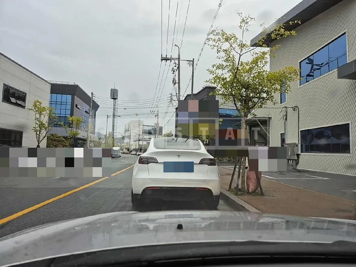 Photo 2 of 12: 2024 Tesla Model Y RWD — Korean insurance auction