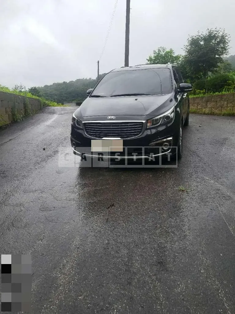 Photo 2 of 3: 2016 Kia Carnival Limousine — Korean insurance auction