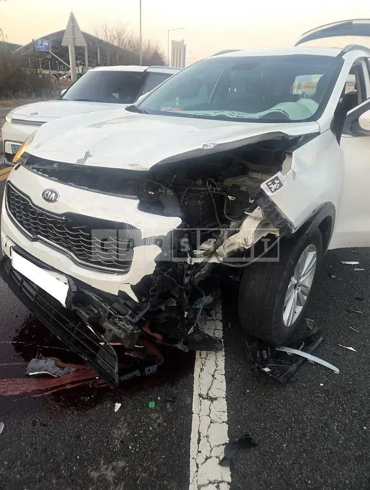 Photo 2 of 13: 2015 Kia Sportage, VIN KNAPM813BGK002731 — Korean insurance auction