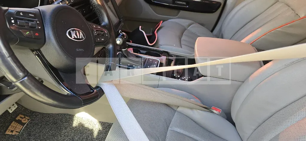 Photo 2 of 10: 2014 Kia Carnival — Korean insurance auction
