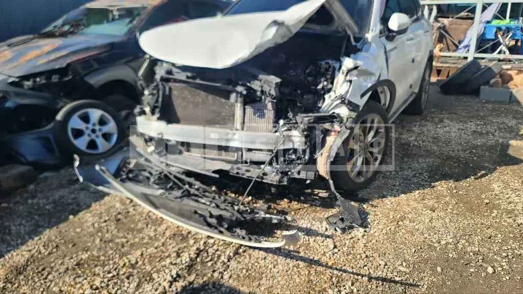 Photo 2 of 8: 2021 Kia Sorento — Korean insurance auction