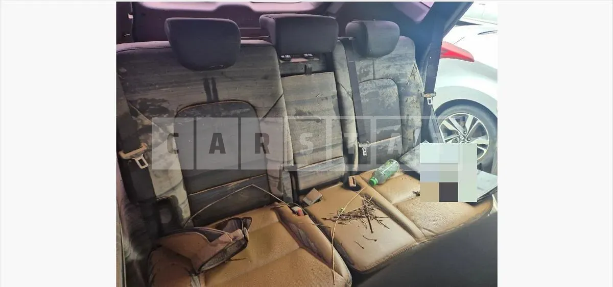 Photo 2 of 14: 2018 Hyundai Santa Fe DM Diesel 2.0 4WD — Korean insurance auction