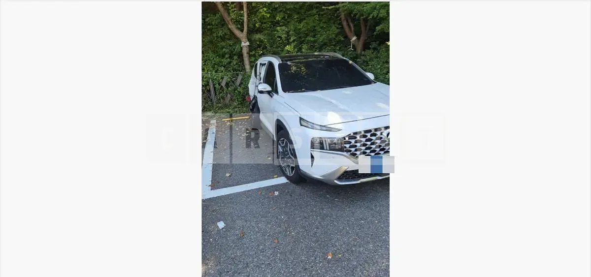 Photo 2 of 23: 2021 Hyundai Santa Fe TM Hybrid — Korean insurance auction