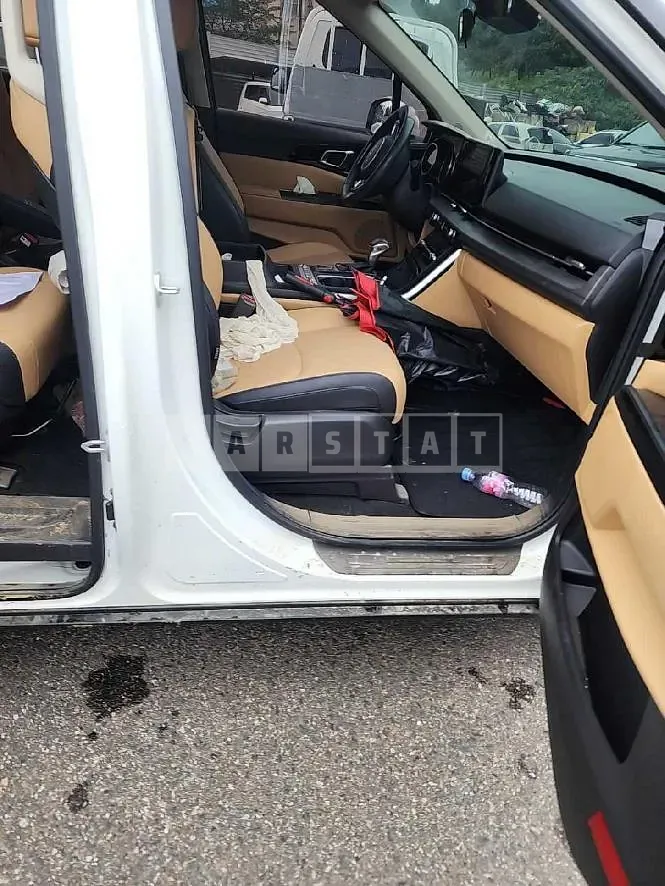 Photo 2 of 10: 2023 Kia Carnivals — Korean insurance auction