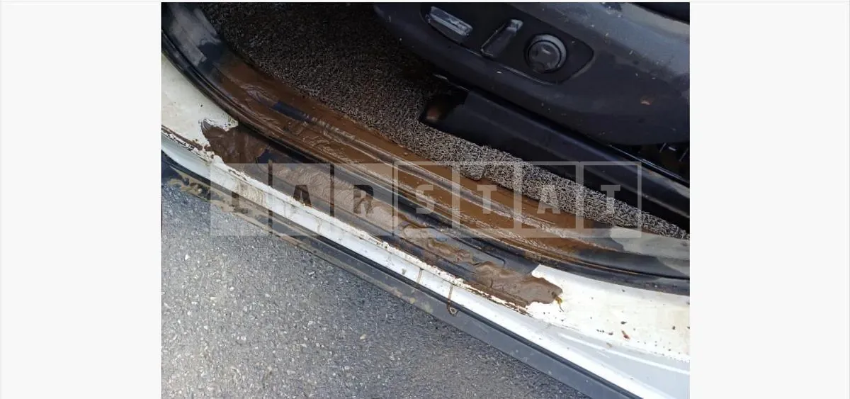 Photo 2 of 9: 2022 Kia Carnival Gasoline — Korean insurance auction