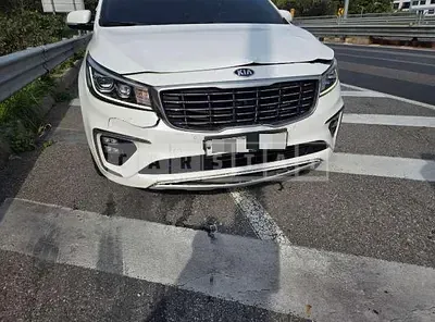 Photo 1 of 5: 2019 Kia Carnivals — Korean insurance auction