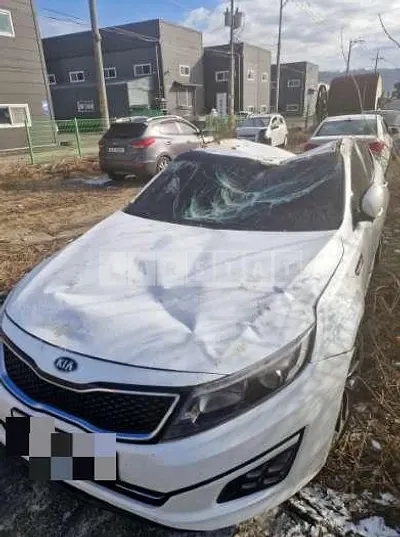 Photo 1 of 7: 2015 Kia K5 — Korean insurance auction