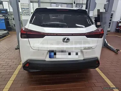 2023 Lexus UX250h