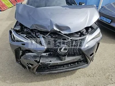 2025 Lexus UX300h 2WD