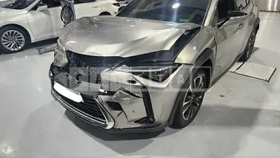 2019 Lexus UX250H AWD