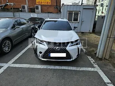 2025 Lexus UX300h 2WD
