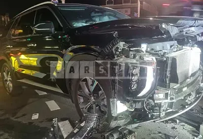 Photo 1 of 9: 2021 Hyundai Palisade 2.2 — Korean insurance auction
