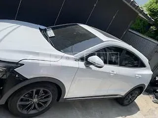 Photo 2 of 13: 2019 BMW Dongpungsokon /Pencon iX5, VIN LVZA53PAXLCB02776 — Korean insurance auction