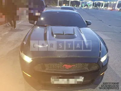 Photo 1 of 15: 2016 Ford Mustang GT 5.0 Coupe — Korean insurance auction