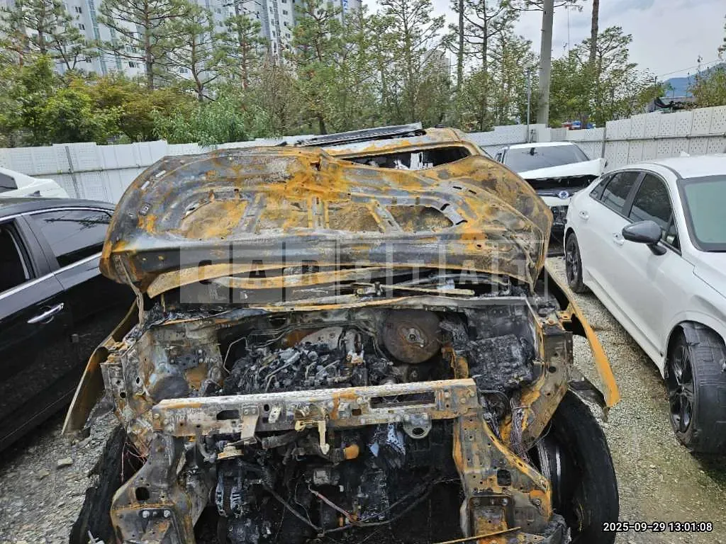 Photo 2 of 9: 2015 Kia Carnivals — Korean insurance auction