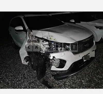 Photo 1 of 14: 2017 Kia Sorento — Korean insurance auction