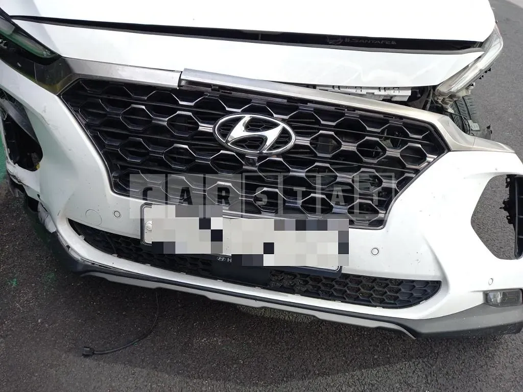 Photo 2 of 41: 2018 Hyundai Santa Fe TM 2.2, VIN KMHS381CDKU003486 — Korean insurance auction