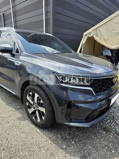 2020 Sorento Sorento