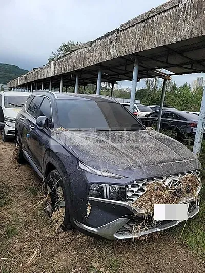 Photo 1 of 7: 2020 Hyundai Calm Santa Fe 2.0T (Gasoline) — Korean insurance auction