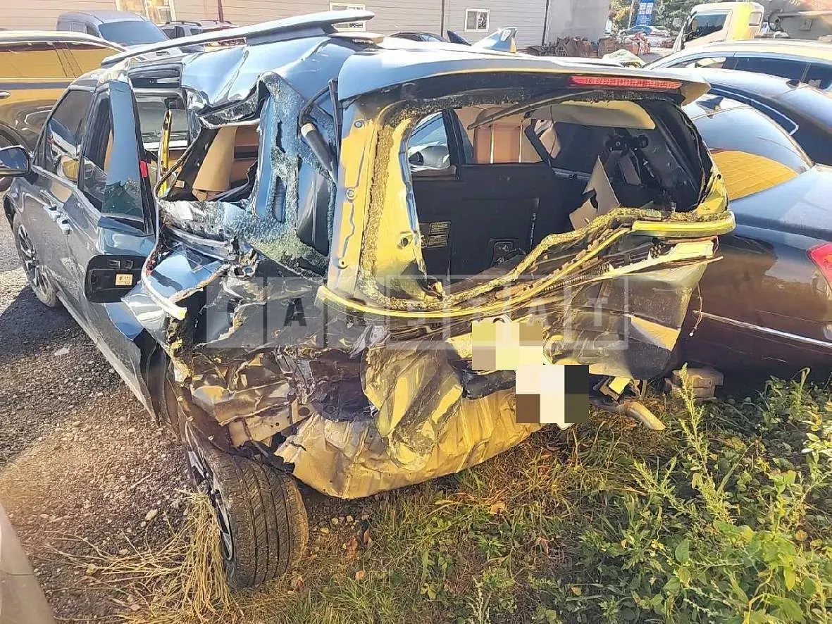 Photo 2 of 25: 2021 Kia Carnival 2.2, VIN KNANC81BBNS149251 — Korean insurance auction