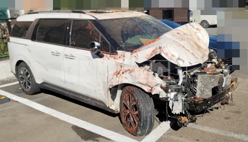 Photo 2 of 10: 2021 Kia Carnival 2.2, VIN KNANE81BBNS155173 — Korean insurance auction