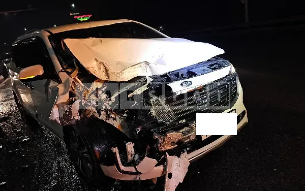 Photo 2 of 21: 2019 Kia Carnival, VIN KNAMB81ABKS575292 — Korean insurance auction