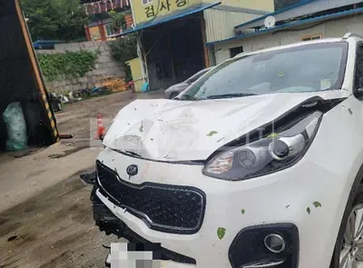 Photo 1 of 10: 2015 Kia Sportage — Korean insurance auction
